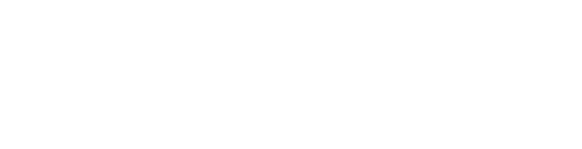 bluSONIL White Logo